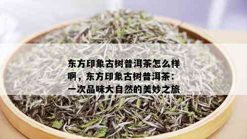 东方印象古树普洱茶怎么样啊，东方印象古树普洱茶：一次品味大自然的美妙之旅