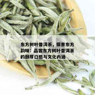 东方树叶普洱茶，探索东方韵味：品尝东方树叶普洱茶的醇厚口感与文化内涵