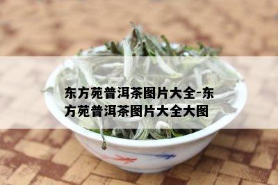 东方苑普洱茶图片大全-东方苑普洱茶图片大全大图