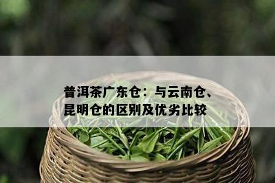 普洱茶广东仓：与云南仓、昆明仓的区别及优劣比较