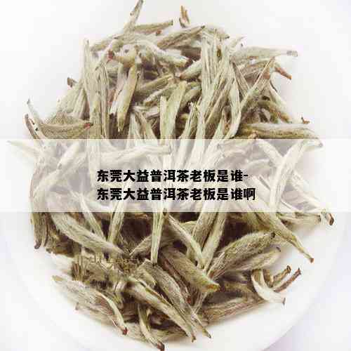 东莞大益普洱茶老板是谁-东莞大益普洱茶老板是谁啊