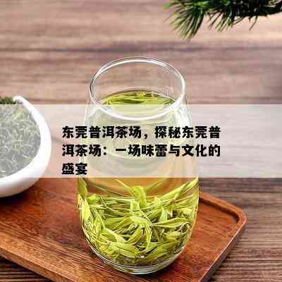 东莞普洱茶场，探秘东莞普洱茶场：一场味蕾与文化的盛宴