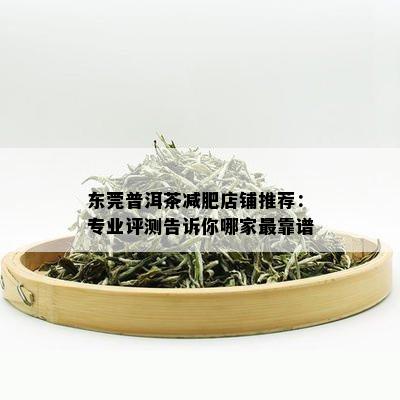 东莞普洱茶减肥店铺推荐：专业评测告诉你哪家最靠谱