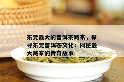 东莞更大的普洱茶藏家，探寻东莞普洱茶文化：揭秘更大藏家的传奇故事