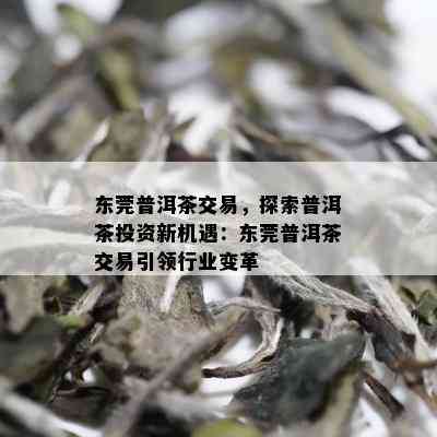 东莞普洱茶交易，探索普洱茶投资新机遇：东莞普洱茶交易引领行业变革