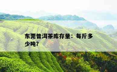 东莞普洱茶库存量：每斤多少吨？