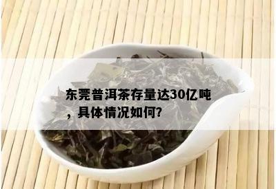 东莞普洱茶存量达30亿吨，具体情况如何？