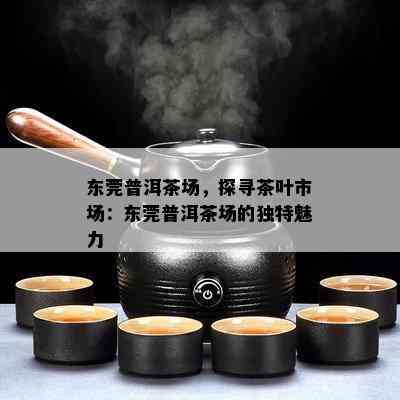 东莞普洱茶场，探寻茶叶市场：东莞普洱茶场的独特魅力