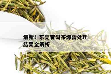 最新！东莞普洱茶爆雷处理结果全解析