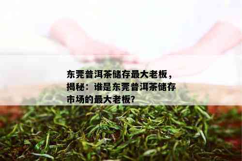 东莞普洱茶储存更大老板，揭秘：谁是东莞普洱茶储存市场的更大老板？