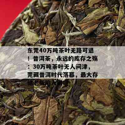 东莞40万吨茶叶无路可退！普洱茶，永远的库存之殇：30万吨茶叶无人问津，莞藏普洱时代落幕，更大存储老板陷入困境