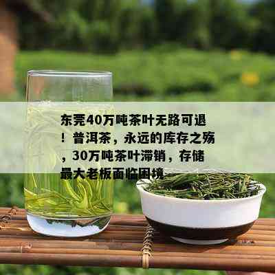 东莞40万吨茶叶无路可退！普洱茶，永远的库存之殇，30万吨茶叶滞销，存储更大老板面临困境