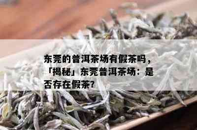 东莞的普洱茶场有假茶吗，「揭秘」东莞普洱茶场：是否存在假茶？