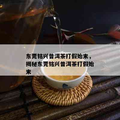 东莞铭兴普洱茶打假始末，揭秘东莞铭兴普洱茶打假始末