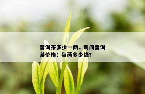 普洱茶多少一两，询问普洱茶价格：每两多少钱？