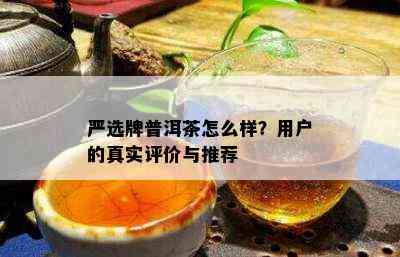 严选牌普洱茶怎么样？用户的真实评价与推荐