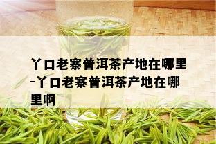 丫口老寨普洱茶产地在哪里-丫口老寨普洱茶产地在哪里啊