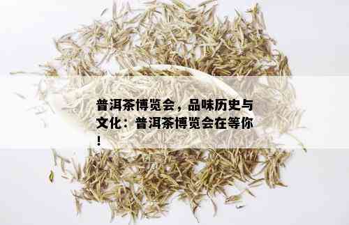 普洱茶博览会，品味历史与文化：普洱茶博览会在等你！