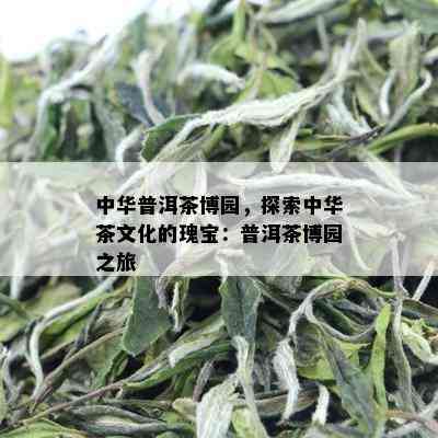 中华普洱茶博园，探索中华茶文化的瑰宝：普洱茶博园之旅