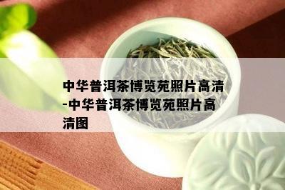 中华普洱茶博览苑照片高清-中华普洱茶博览苑照片高清图