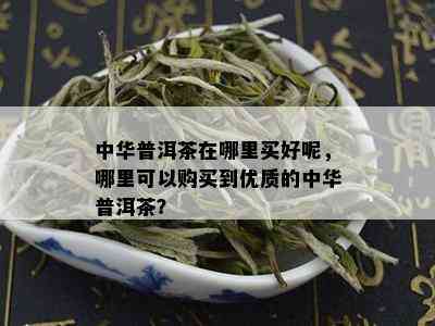 中华普洱茶在哪里买好呢，哪里可以购买到优质的中华普洱茶？