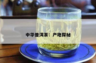 中华普洱茶：产地探秘