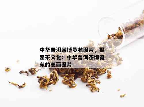 中华普洱茶博览苑图片，探索茶文化：中华普洱茶博览苑的美丽图片