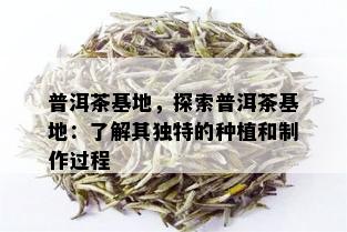 普洱茶基地，探索普洱茶基地：了解其独特的种植和制作过程