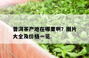 普洱茶产地在哪里啊？图片大全及价格一览