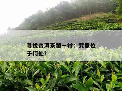 寻找普洱茶之一村：究竟位于何处？