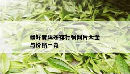 更好普洱茶排行榜图片大全与价格一览