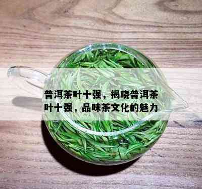 普洱茶叶十强，揭晓普洱茶叶十强，品味茶文化的魅力