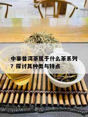 中寨普洱茶属于什么茶系列？探讨其种类与特点