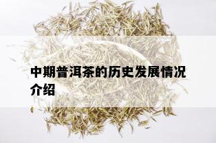 中期普洱茶的历史发展情况介绍