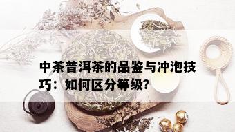 中茶普洱茶的品鉴与冲泡技巧：如何区分等级？