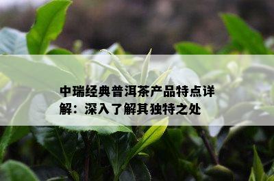 中瑞经典普洱茶产品特点详解：深入了解其独特之处