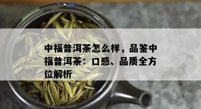 中福普洱茶怎么样，品鉴中福普洱茶：口感、品质全方位解析