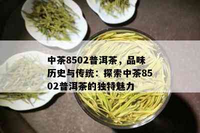 中茶8502普洱茶，品味历史与传统：探索中茶8502普洱茶的独特魅力