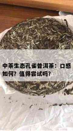 中茶生态孔雀普洱茶：口感如何？值得尝试吗？