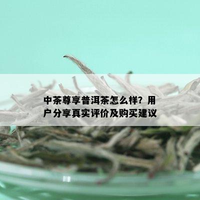 中茶尊享普洱茶怎么样？用户分享真实评价及购买建议