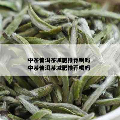 中茶普洱茶减肥推荐喝吗-中茶普洱茶减肥推荐喝吗