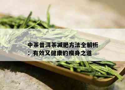 中茶普洱茶减肥方法全解析：有效又健康的瘦身之道