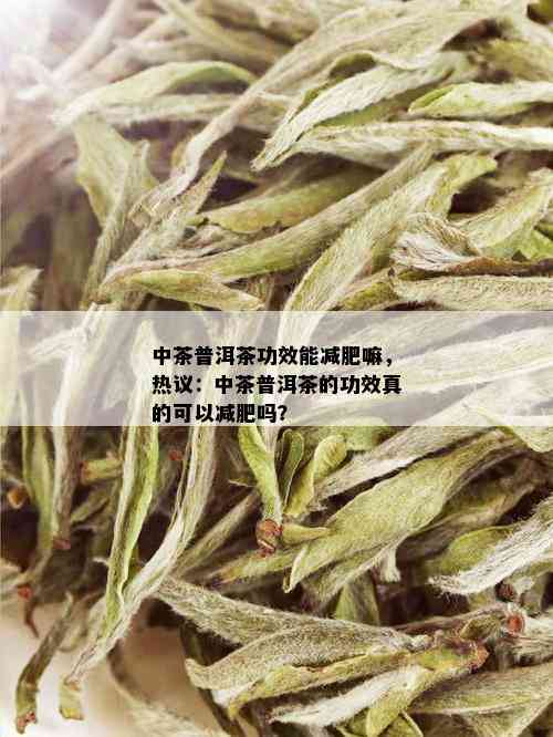 中茶普洱茶功效能减肥嘛，热议：中茶普洱茶的功效真的可以减肥吗？