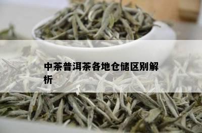 中茶普洱茶各地仓储区别解析