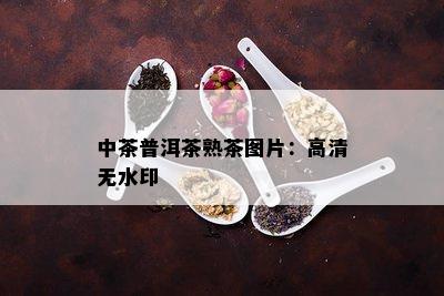 中茶普洱茶熟茶图片：高清无水印