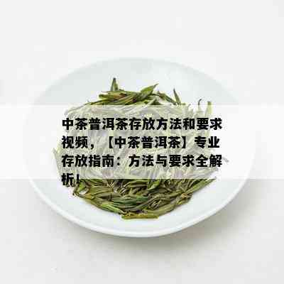 中茶普洱茶存放方法和要求视频，【中茶普洱茶】专业存放指南：方法与要求全解析！