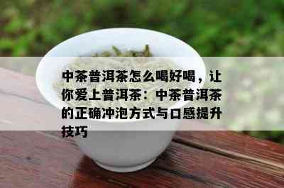 中茶普洱茶怎么喝好喝，让你爱上普洱茶：中茶普洱茶的正确冲泡方式与口感提升技巧