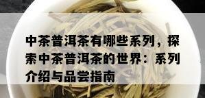 中茶普洱茶有哪些系列，探索中茶普洱茶的世界：系列介绍与品尝指南