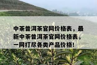 中茶普洱茶官网价格表，最新中茶普洱茶官网价格表，一网打尽各类产品价格！