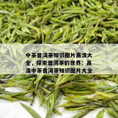 中茶普洱茶知识图片高清大全，探索普洱茶的世界：高清中茶普洱茶知识图片大全